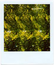Pola-vibrations 28 - 2008