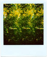 Pola-vibrations 33 - 2008