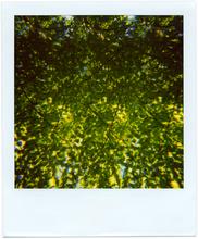 Pola-vibrations 36 - 2008