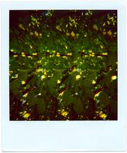Pola-vibrations 37 - 2008