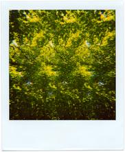 Pola-vibrations 44 - 2008