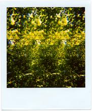 Pola-vibrations 46 - 2008