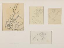 Sans titre, études aux arbres et à la jeune femme, 1944
