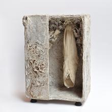 Caissette d'Aliment Blanc - 1961