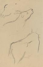 Études d'une vache, 1884-1888
