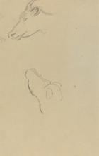 Tête de vache, 1884-1888