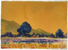Champs en fleurs, 1976
