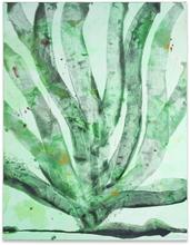 Cactus - 2013