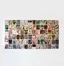 Elucubrations - 2017