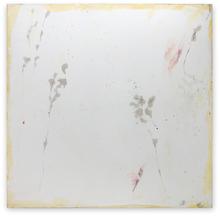 INCISIONS VEGETALES - 2011