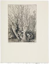 Le petit dessinateur de souche - 1970