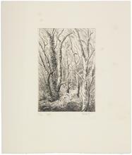 Lecteur dans le bois de Meudon - (1970)	