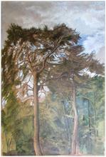Les grands pins, ciel bleu - 1973 