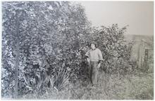 Dans le jardin - 1992
