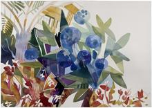 Fleurs
