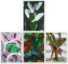 ASSEMBLAGE - 2013