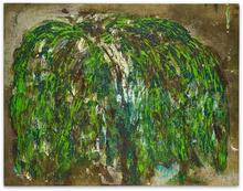 SAULE PLEUREUR - 2015