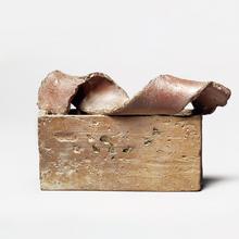 Vague brune, 1977