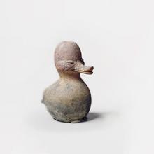 Canard anthracite, 1979