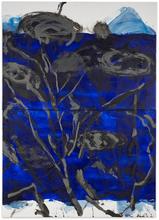LA CANOPEE BLEUE - 2015