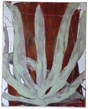 CACTÉ - 2016