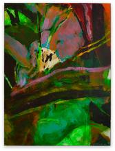 Paysage luxuriant - 2014