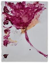 Rose - 2010