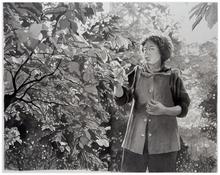 Gilet cuir, regarde feuille de cerisier - 1993