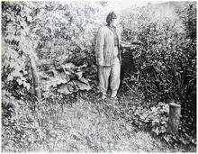 Dans le jardin, entre noisetier et rhubarbe - 1995
