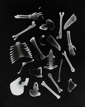 Squelette décomposé 1 - 1995