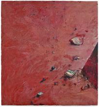 Moût de raisin - 2007