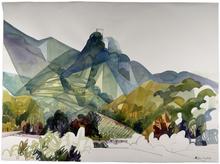 Provence 1980