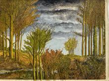 Nuages gris, arbres d'or