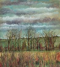 Champ vert, ciel gris et vert