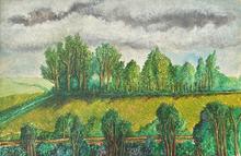 Concerts de verts et ciel gris-blanc