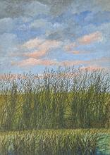 Petits nuages roses au dessus de la haie