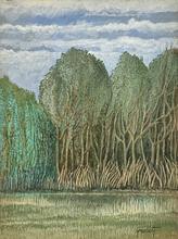 Haie entre ciel et pré