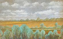 Haie verte, champ, ciel gris pâle