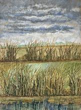 Hiver, haie squelettique, ciel gris