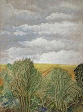 Chemin qui monte entre arbres et ciel