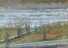 Deux chemins, arbres et lierre