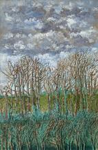 Ciel pommelé, arbres d'hiver