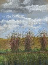 Nuages légers, fleurs roses dans la haies