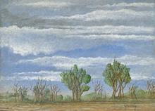 Ciel bleu, quelques arbres