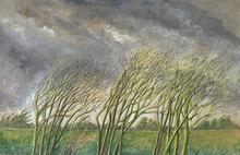 Ciel de pluie ( et vent )