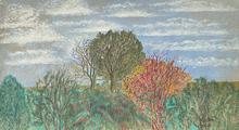 Arbre vert, arbre roux, ciel et petits nuages