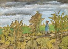 Nain bleu botté, ciel gris, arbres pré vert