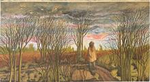 Arbres sans feuilles, ciel gris et rose, debout