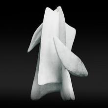 Agarien 1er (plâtre) - 1958
