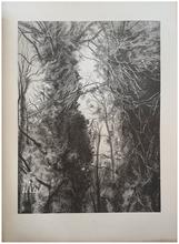 Arbres et lianes - 1971